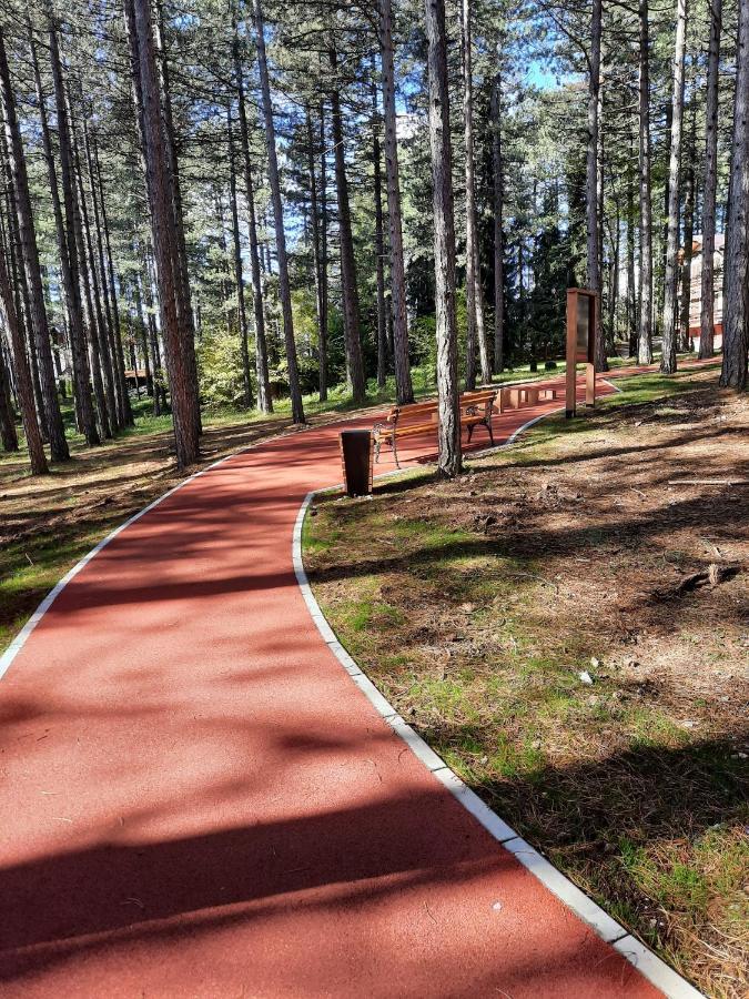 Apartmán Zlatibor M Exteriér fotografie